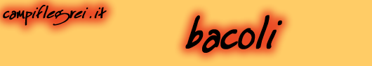 bacoli